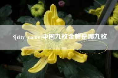 开封中国九枚金牌是哪九枚