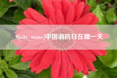 开封中国消防日在哪一天