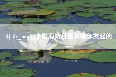 开封全国消防日是从哪年发起的