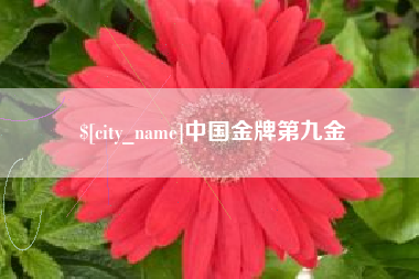 开封中国金牌第九金