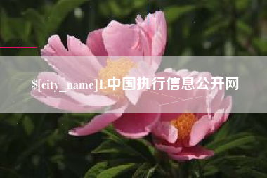 开封1.中国执行信息公开网