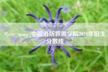 开封中国消防救援学院2024年招生分数线