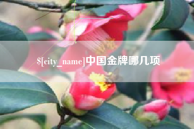 开封中国金牌哪几项