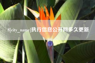 开封执行信息公开网多久更新