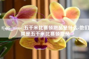 开封五千米比赛领跑员是什么-他们就是五千米比赛领跑员