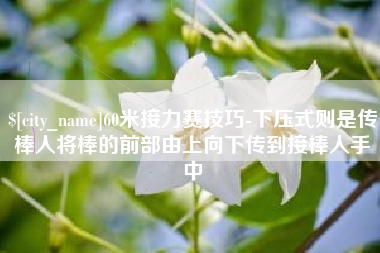 开封60米接力赛技巧-下压式则是传棒人将棒的前部由上向下传到接棒人手中