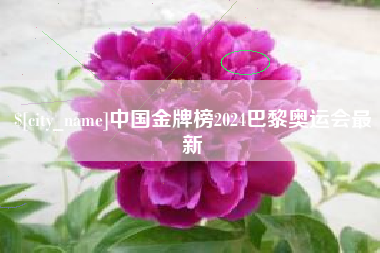 开封中国金牌榜2024巴黎奥运会最新