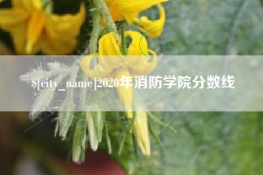 开封2020年消防学院分数线