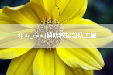 开封消防救援总队王星