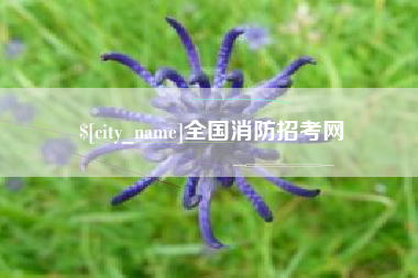 开封全国消防招考网