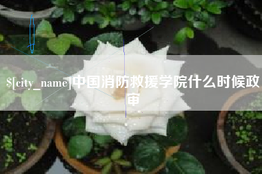 开封中国消防救援学院什么时候政审