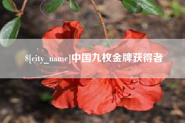开封中国九枚金牌获得者