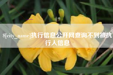 开封执行信息公开网查询不到被执行人信息
