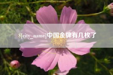 开封中国金牌有几枚了