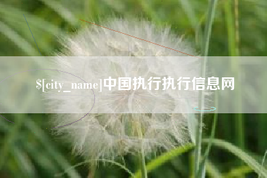 开封中国执行执行信息网