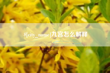 开封九宫怎么解释
