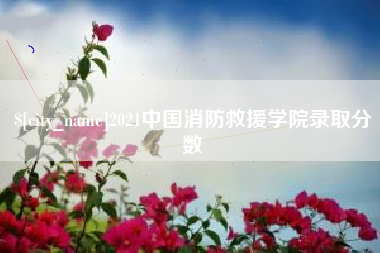 开封2021中国消防救援学院录取分数