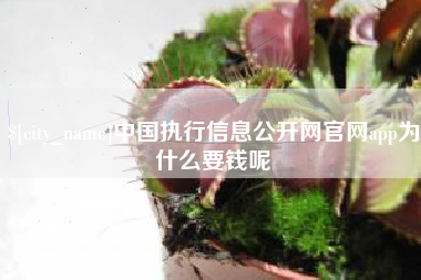 开封中国执行信息公开网官网app为什么要钱呢