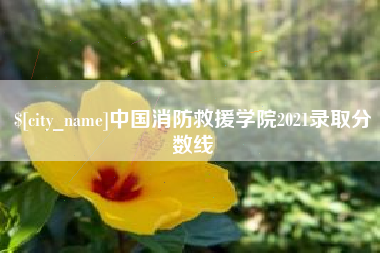 开封中国消防救援学院2021录取分数线