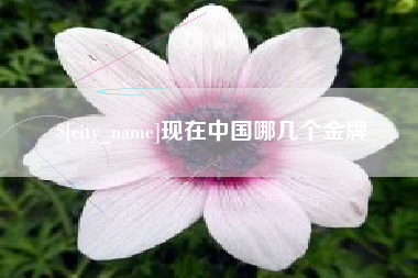 开封现在中国哪几个金牌