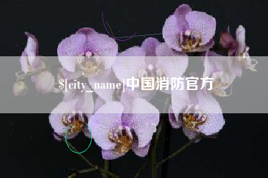 开封中国消防官方