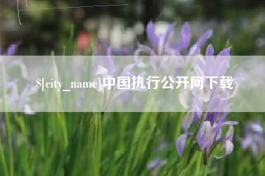开封中国执行公开网下载