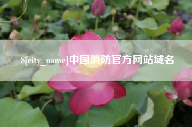 开封中国消防官方网站域名