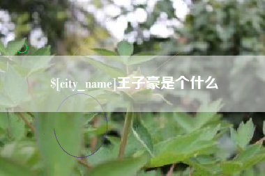 开封王子豪是个什么