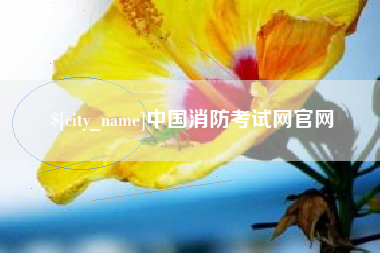 开封中国消防考试网官网