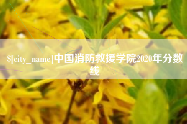 开封中国消防救援学院2020年分数线