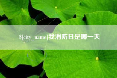 开封我消防日是哪一天