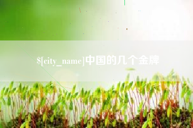 开封中国的几个金牌