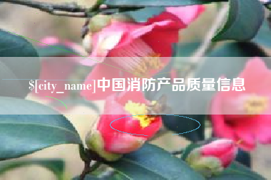 开封中国消防产品质量信息