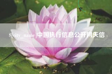 开封中国执行信息公开网失信