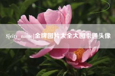 开封金牌图片大全大图卡通头像