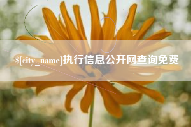 开封执行信息公开网查询免费
