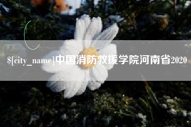 开封中国消防救援学院河南省2020